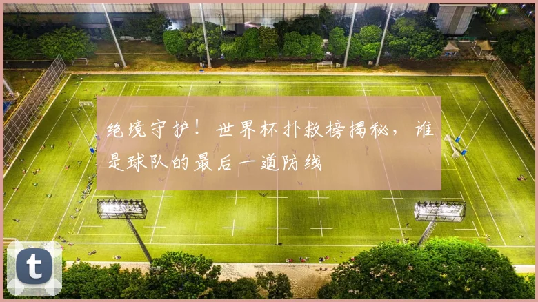 绝境守护！世界杯扑救榜揭秘，谁是球队的最后一道防线