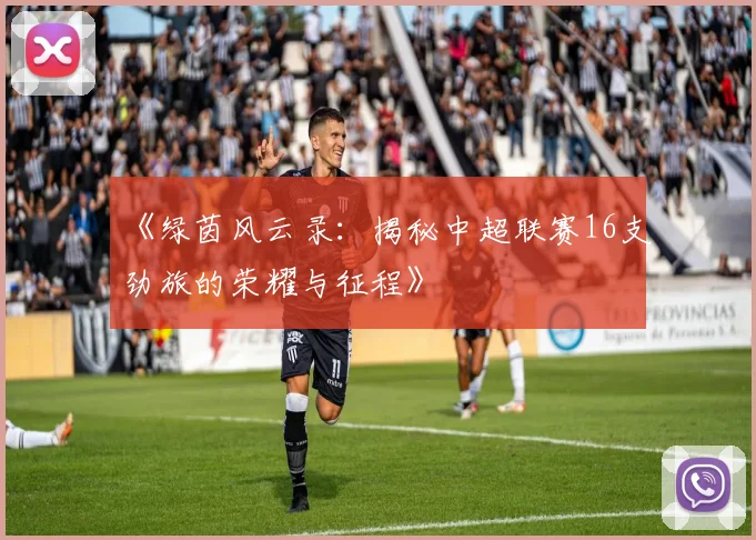 《绿茵风云录：揭秘中超联赛16支劲旅的荣耀与征程》