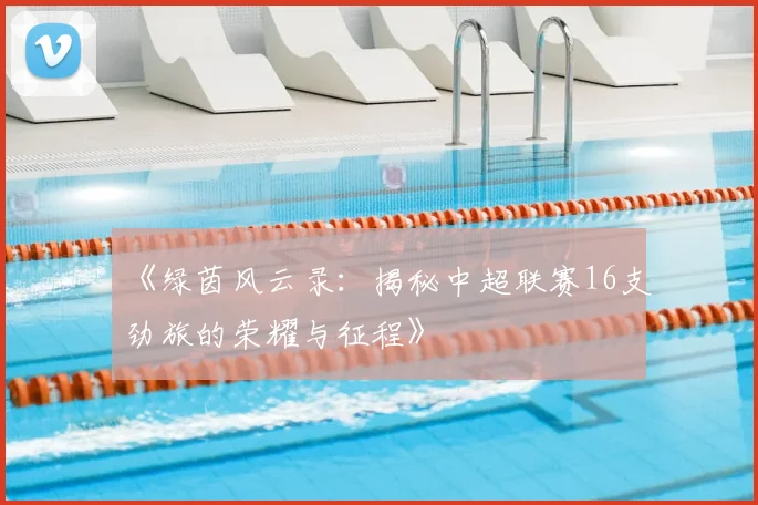 《绿茵风云录:揭秘中超联赛16支劲旅的荣耀与征程》