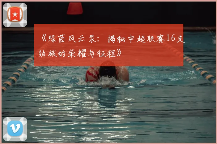 《绿茵风云录：揭秘中超联赛16支劲旅的荣耀与征程》